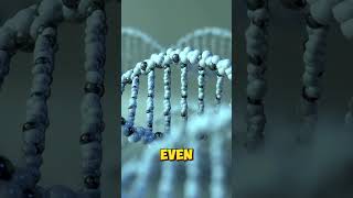 CRISPR gene editing gene crispr facts [upl. by Nash]