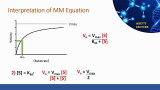 MichaelisMenten Equation Derivation and Interpretation [upl. by Yorel]