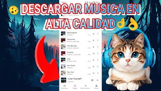 🔥 POR FIN ACTUALIZADA ARL PARA AIDS MUSICA 25 JUNIO 2024 5 TOKENS  ARL Murglar20 AIDS⭐⭐⭐⭐ [upl. by Ehttam]