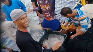 episode13nakahuli kmi ng tulingan burot2 at tambanfishingpangulongmarinduque [upl. by Tini101]