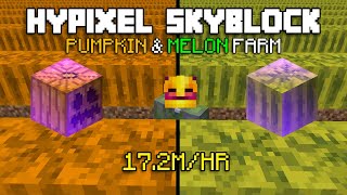 How MelonKing Farms 172 MILLION COINS Per Hour in Hypixel Skyblock [upl. by Eikcor348]