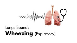 Wheezing expiratory  Lung Sounds  MEDZCOOL [upl. by Ayotak958]