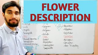 DESCRIPTION OF FLOWER  TECHNICAL TERMINOLOGY OF FLOWER  Zeeraks Biology [upl. by Woothen]