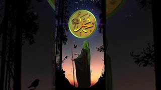 Jannat me hamare nabi ka nikah 4 aurat se honge jannat nabi muhammad shorts islamicvideo [upl. by Norabal]