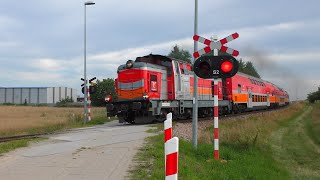 4K SSP Władysławowo ul Droga Swarzewska  Polish railroad crossing [upl. by Lindsy]