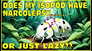 Does My Isopod Have Narcolepsy A Boring Video [upl. by Epolenep958]