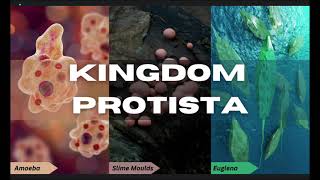 Class 11 Biology  Biological Classification  Kingdom Protista neet2025 cbseboard biology [upl. by Tterag]