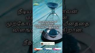 Today Bible Verses  Proverbs 1429 Tamil  91024 Bible Verses biblewords bibleverse [upl. by Haley24]