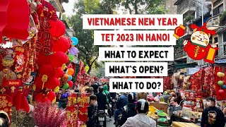 Hanoi Travel What To Expect During Tet  Vietnamese New Year 2023 Talk with Local Travel Agent [upl. by Cyndia]