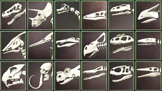 Assemble 3D Dino Skeletons Full 20 Dinosaurs  Eftsei Gaming [upl. by Byran672]