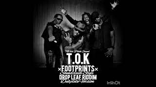 TOK  Footprints Drop Leaf Riddim Dubplate Version by Wild Pitch Sound [upl. by Calida]