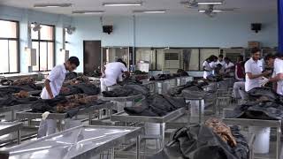 Truth About Philippines College Anatomy LabDead BodiesCadavers Facilities for Practical trainig [upl. by Dahle622]