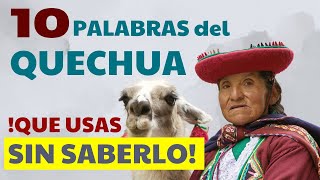 10 palabras de origen QUECHUA que usas a diario en ESPAÑOL 🧐 [upl. by Servais]