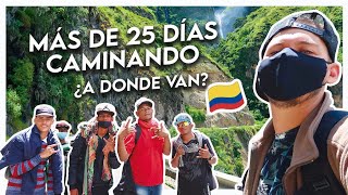 Caminantes Venezolanos En Colombia  Por qué lo hacen [upl. by Ydoc658]