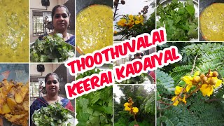 Thoothuvalai Keerai Parappu Kadaiyalதூதுவளை கீரை பருப்பு கடையல்Solanum TrilobatumKousalya Homes [upl. by Shotton]