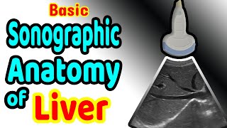 Basic Sonographic Anatomy of the Liver [upl. by Burnight]