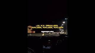 Major League DJz  Dinaled ft Mpho Sebina lyrics amapiano afrobeats [upl. by Anelad]