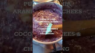 Tropical Chia Pudding  Coconut lychees amp blueberries [upl. by Rogergcam]