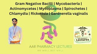 Gram Negative Bacilli  Mycobacteria  Actinomycetes  Mycoplasma  Spirochetes  Chlamydia [upl. by Yesdnil882]