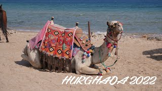 Hurghada 2022  Egypt [upl. by Elladine475]