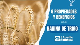 8 Propiedades y Beneficios de la Harina de Trigo ✅  QueApetito [upl. by Parshall]