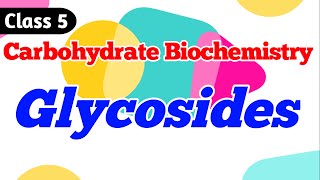 Glycosides  What are Glycosides Carbohydrate Biochemistry Class 5 [upl. by Natam110]