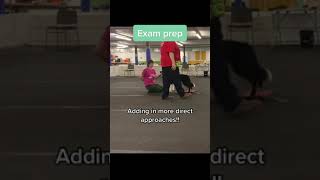 Training a confident stand for exam The Approach [upl. by Braynard]