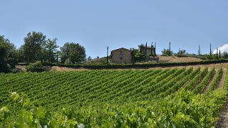 VIGNALE  Villas in Lecchi in Chianti Siena Tuscany [upl. by Eidnar]