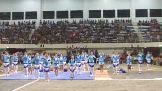 CED Falcons Allstars Cheerleading Competition [upl. by Gildus796]