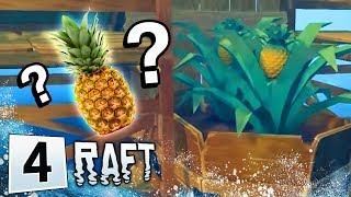 Raft 4  PINEAPPLES [upl. by Griseldis]