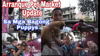 Arranque Pet Market Update [upl. by Dunham157]