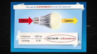 Pollin Informiert LED Leuchtmittel [upl. by Anielram]