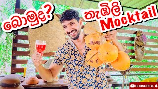 බොමුද ගෙදර ගහෙන් තැඹිලි Mocktailking coconut MocktailSangeeth VlogsSangeeth Satharasinghe [upl. by Alehc126]