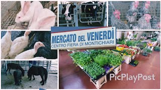 GIRETTO ALLA FIERA DI MONTICHIARI TUTTO NATURALE 🐄 🐇🐓🐤🐔🦜🐴 [upl. by Santiago]