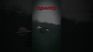 eagle in 8k subscribe cricket shaheen edit eagle [upl. by Julissa]