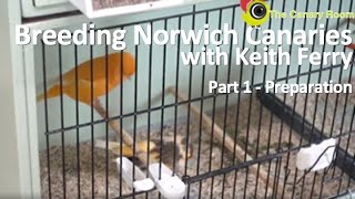 Breeding Norwich Canaries with Keith Ferry  Part 1 Preparation for Breeding [upl. by Hammock]