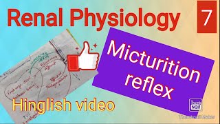 Micturition reflex physiology cystometrogram [upl. by Dlanar]