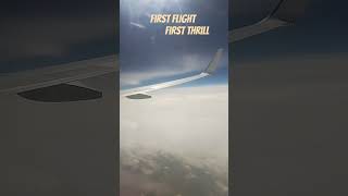 The world from 30000 feet🌍shorts indigo shortsvideo [upl. by Dinan]