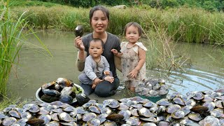 How to harvest giant oysters to sell at the market  cook oyster porridge for your children to eat [upl. by Elyad548]