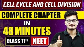 CELL CYCLE and CELL DIVISION in 48 Minutes  Full Chapter Revision  Class 11 NEET [upl. by Atiruam]