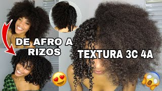 COMO DEFINIR EL CABELLO AFRO RIZADO TEXTURA 3C 4A  DEFINICIÓN DE RIZOS EN AFRO 😱 Rachell Santos [upl. by Eisen]