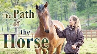 The Path of the Horse  Full Length documentary [upl. by Hamer]