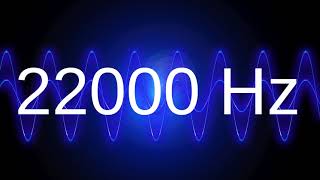 22000 Hz clean pure sine wave TEST TONE 22 khz frequency [upl. by Anaitsirk]