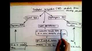 Differentiating Central diabetes insipidus and nephrogenic diabetes insipidus [upl. by Sigismundo]