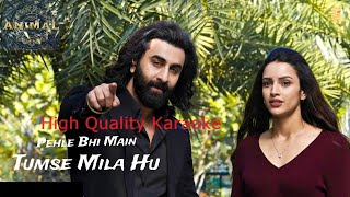 Hindi Karaoke with Lyrics  Pehle bhi main  Animal  Vishal Mishra Ranbir Kapoor Rashmika [upl. by Auhoj88]