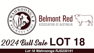 Lot 18 Wahroonga RJS230191 [upl. by Jaycee]