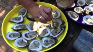 Oyster Rockefeller [upl. by Apicella]