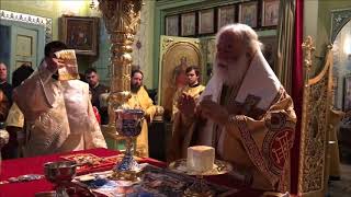 Orthodox Pope of Alexandria vows to protect Canonical Church of Ukraine [upl. by Ojyma]