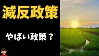 減反政策についてわかりやすく解説【日本の歴史】 [upl. by Gilud469]