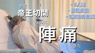 【陣痛来た】緊急帝王切開低出生体重児👶🏻3人目、高齢出産👵🏽出産は命懸け！ [upl. by Aylad]